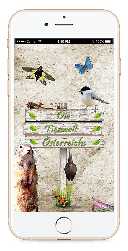 Splash Screen - Tierwelt Österreichs App